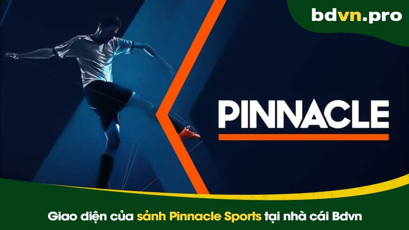 Giao diện của sảnh Pinnacle Sports tại nhà cái Bdvn